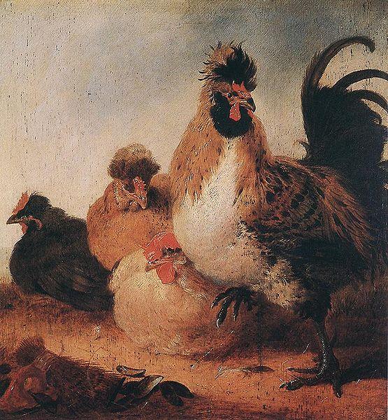 Aelbert Cuyp Rooster